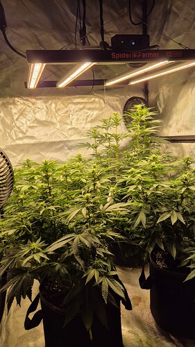 Growreport Bild 5