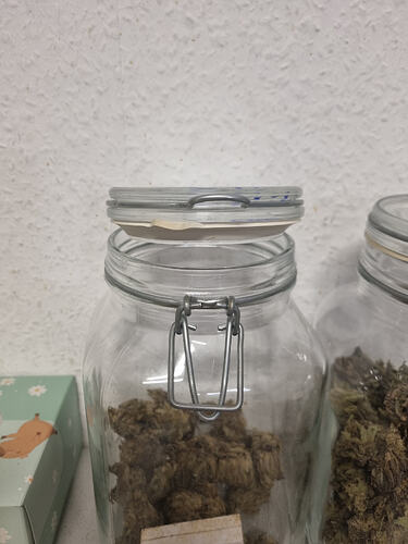 Nahaufnahme eines Einmachglases mit getrockneten Cannabis-Buds, das auf einer Arbeitsfläche steht. Ein weiteres Glas mit Buds ist im Hintergrund sichtbar.