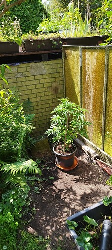 Growreport Bild 15