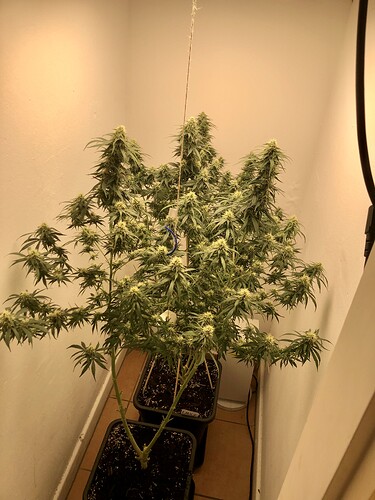 Growreport Bild 12