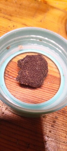 Growreport Bild 41