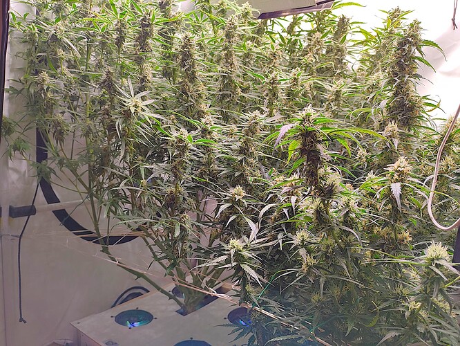 Growreport Bild 2