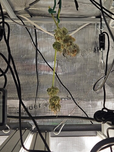Growreport Bild 24