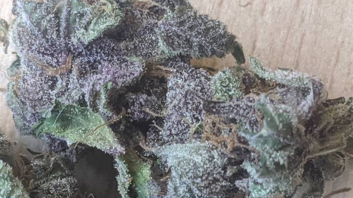 signal-2024-06-19-103938_002