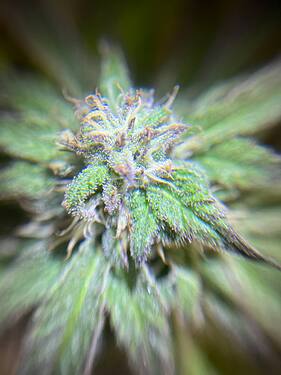 photo_2024-10-08_11-22-10