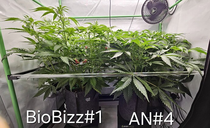 Growreport Bild 7