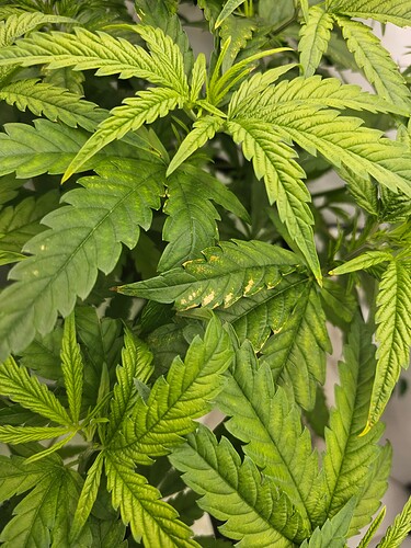 Growreport Bild 18