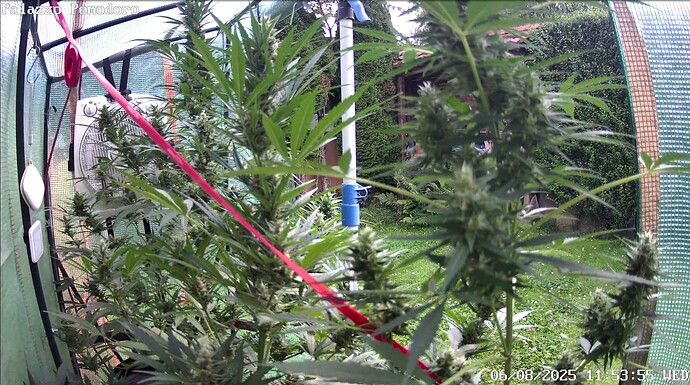 Growreport Bild 3
