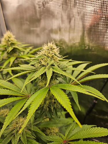 Growreport Bild 24