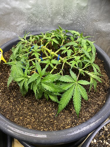 Growreport Bild 22