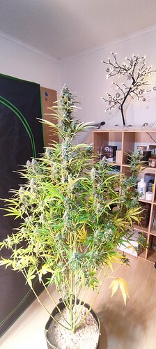Growreport Bild 10