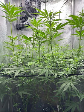 Growreport Bild 10