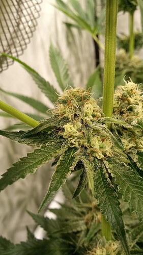 Growreport Bild 23