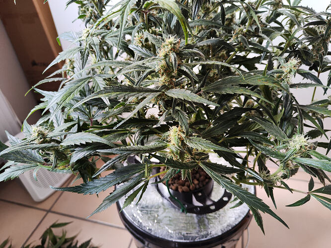 Growreport Bild 12