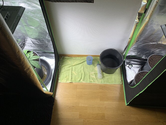 Growreport Bild 17