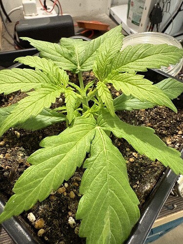 Growreport Bild 12