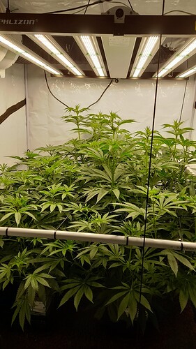 Growreport Bild 11
