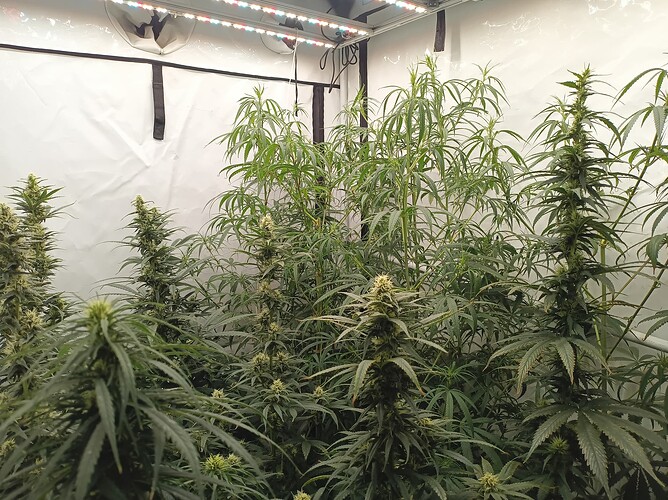 Growreport Bild 23