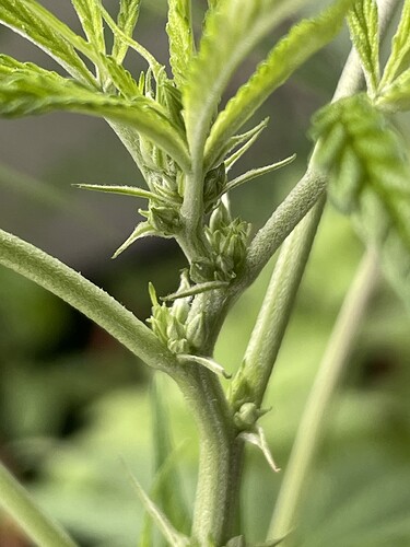 Growreport Bild 7