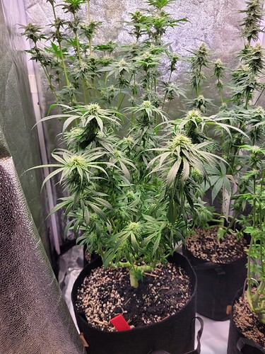 Growreport Bild 16