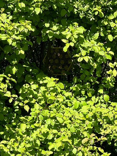 Growreport Bild 6