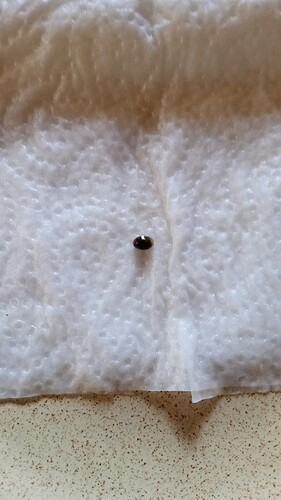 Growreport Bild 9