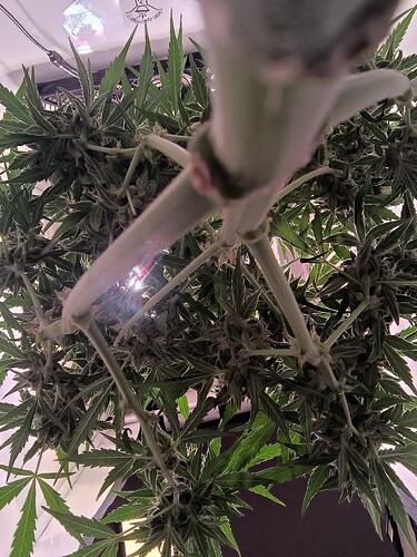 Growreport Bild 20
