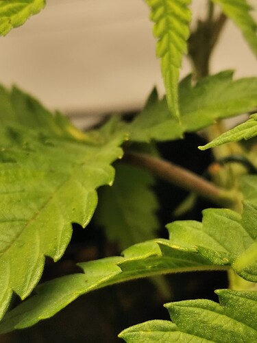Growreport Bild 22