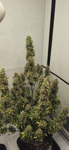Growreport Bild 23