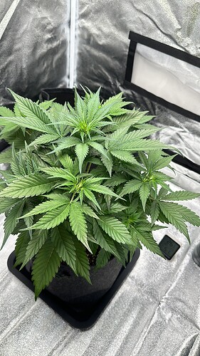 2742E47B-9A80-4DE7-A6D7-C8E84EB9CA0F