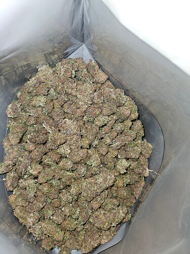 Growreport Bild 22