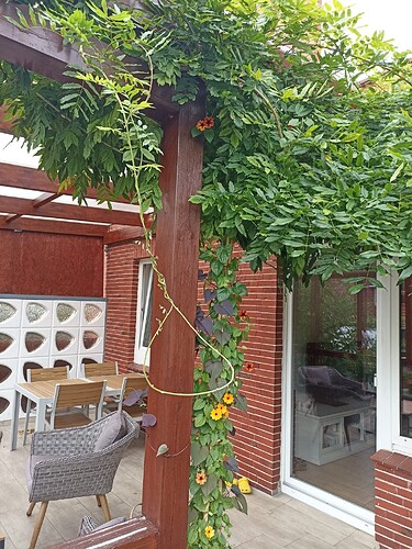 WhatsApp Bild 2024-08-22 um 18.20.11_e0997730