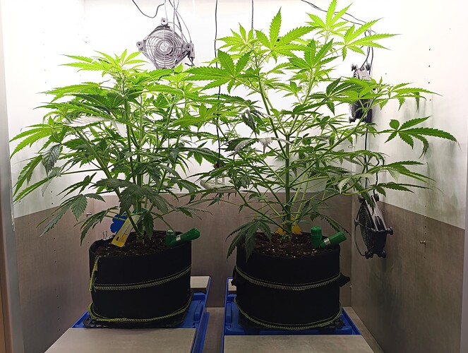 Growreport Bild 23