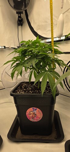 Growreport Bild 13