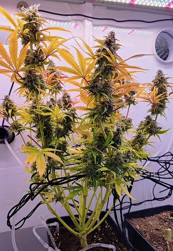 Growreport Bild 9