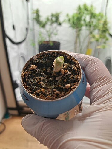 Growreport Bild 29