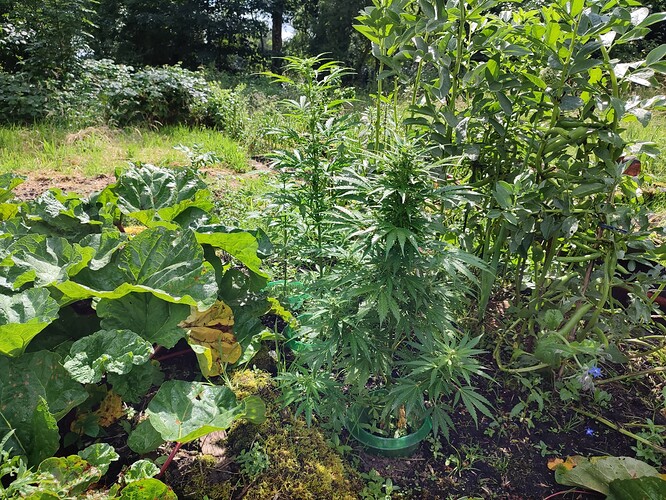 Growreport Bild 14