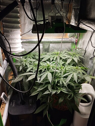 Growreport Bild 5