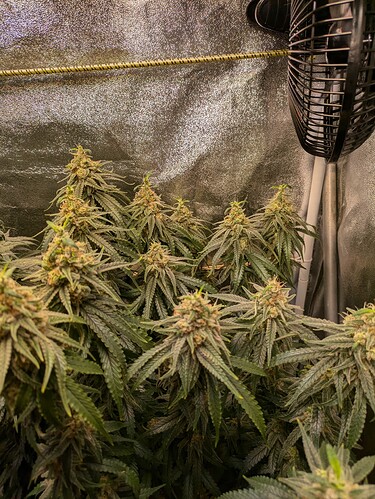 PXL_20240624_181428723