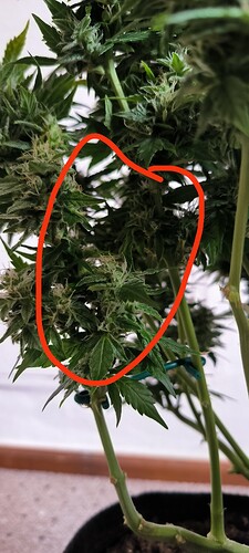 Growreport Bild 17