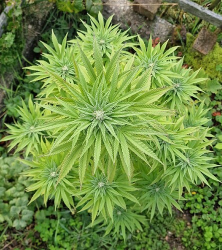 Growreport Bild 24