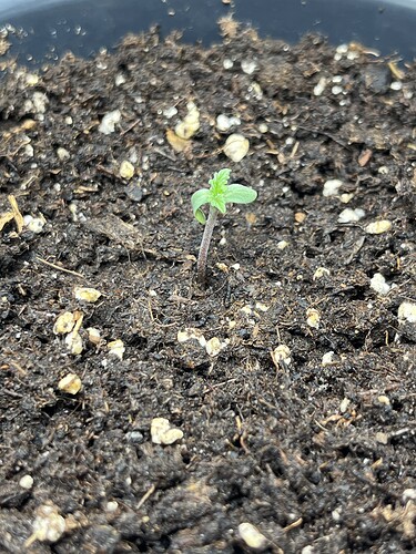 Growreport Bild 4