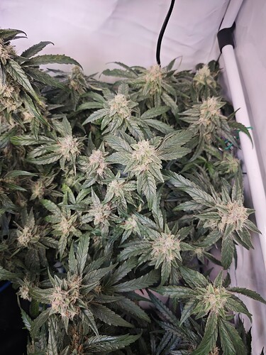 MVIMG_20251114_155710