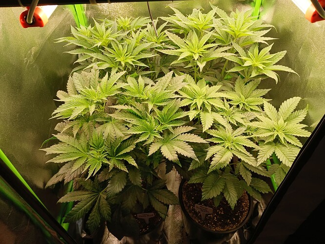 Growreport Bild 11