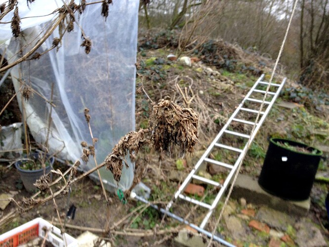 Growreport Bild 7