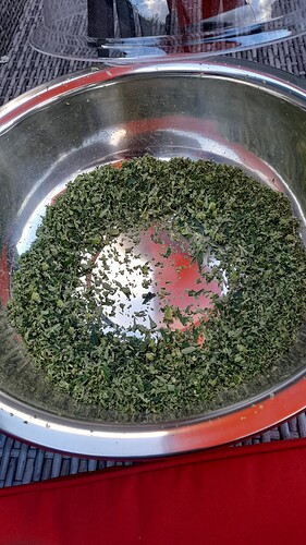 Growreport Bild 66