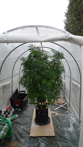 Growreport Bild 5