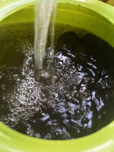 Growreport Bild 2
