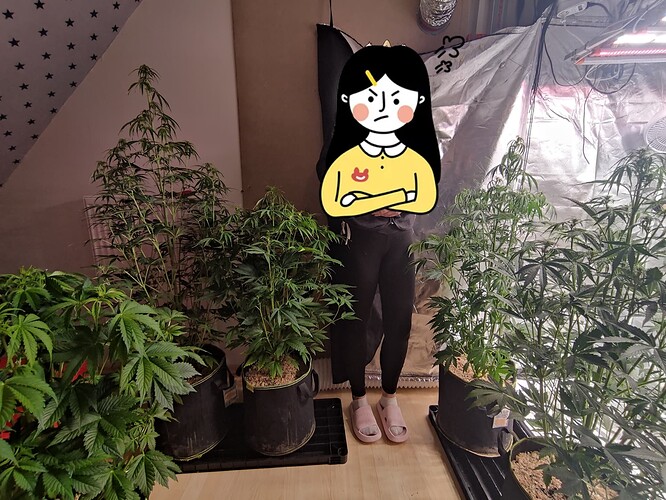 Growreport Bild 15