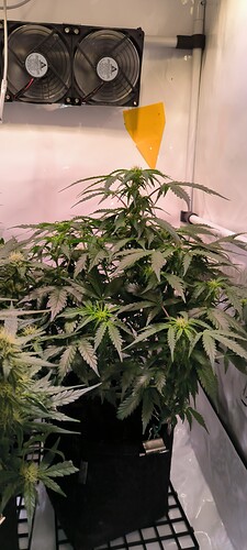 Growreport Bild 26